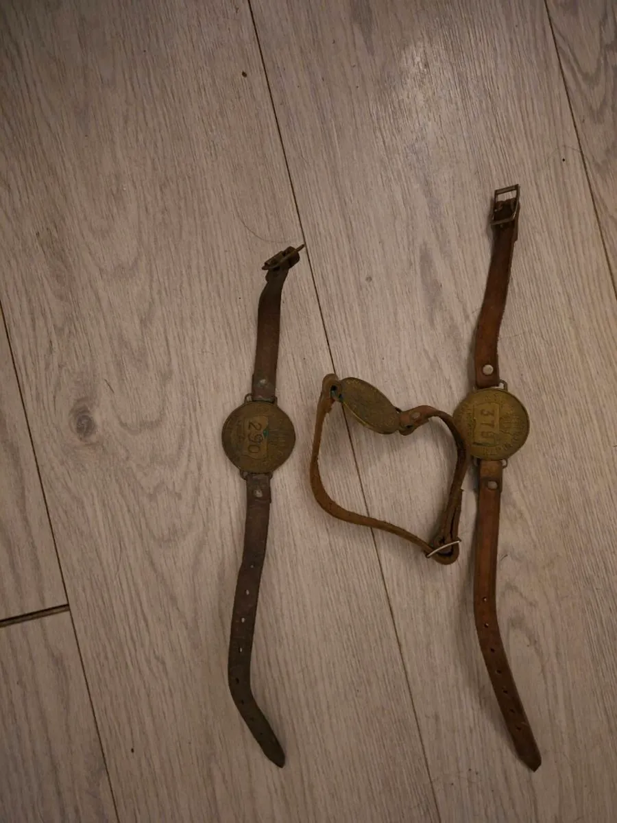 3 Vintage Dublin Corporation Street trader badges - Image 2