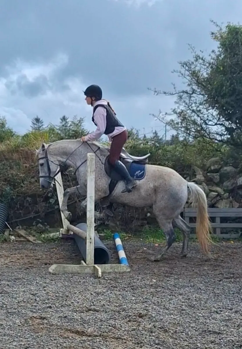 9 yr old All rounder 14.2 - Image 2