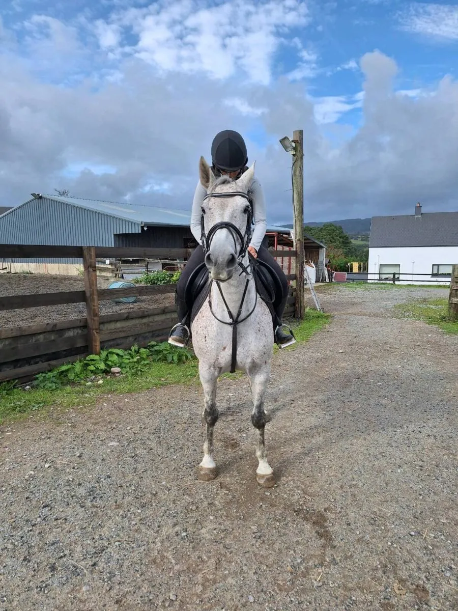 9 yr old All rounder 14.2 - Image 3