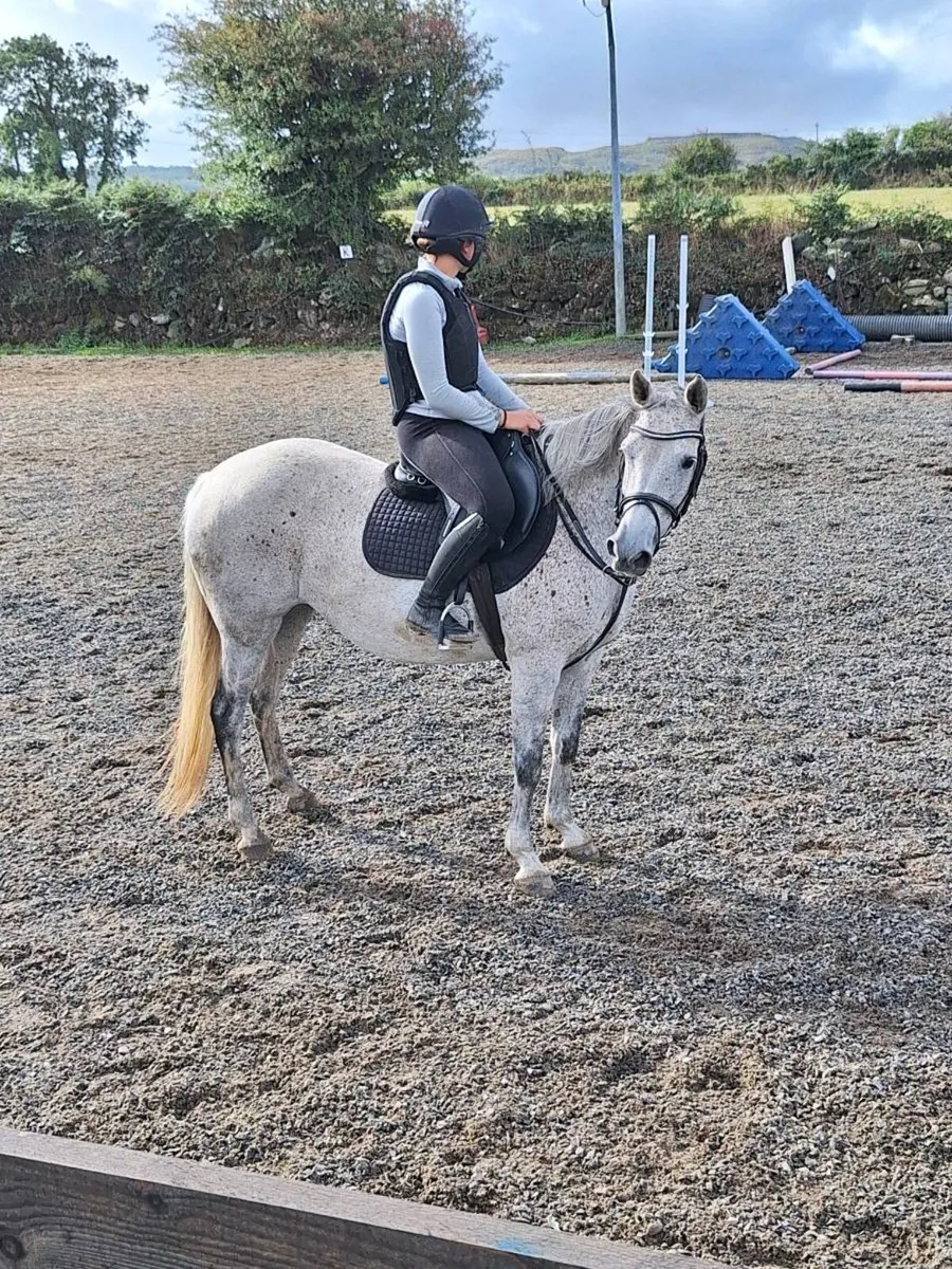 9 yr old All rounder 14.2 - Image 4