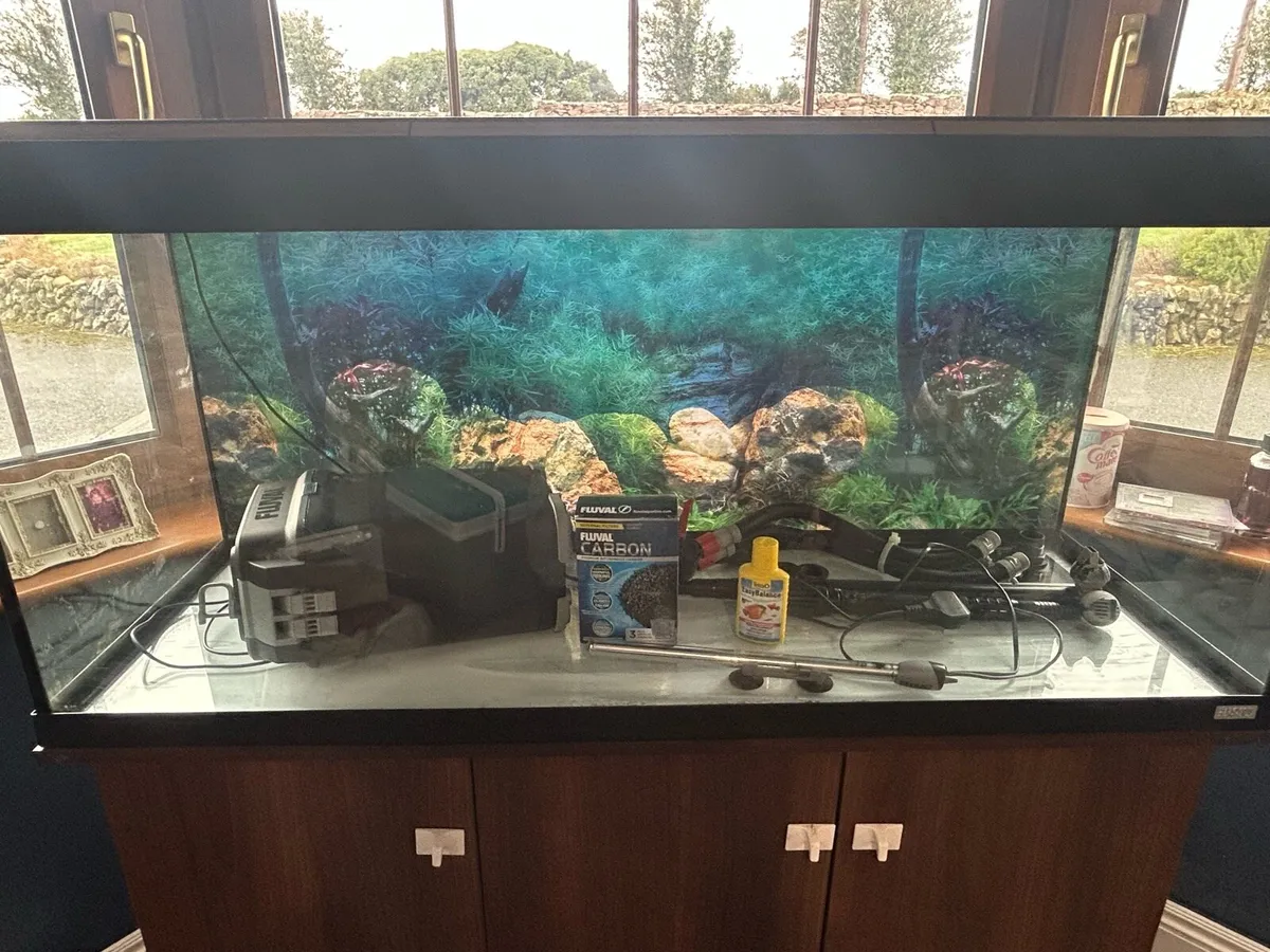 Fish Tank - Image 1