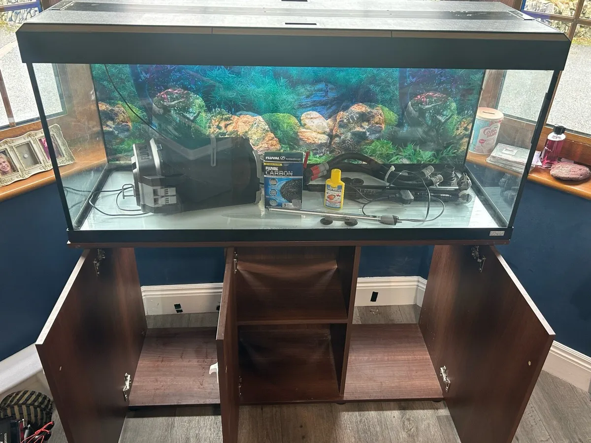 Fish Tank - Image 3