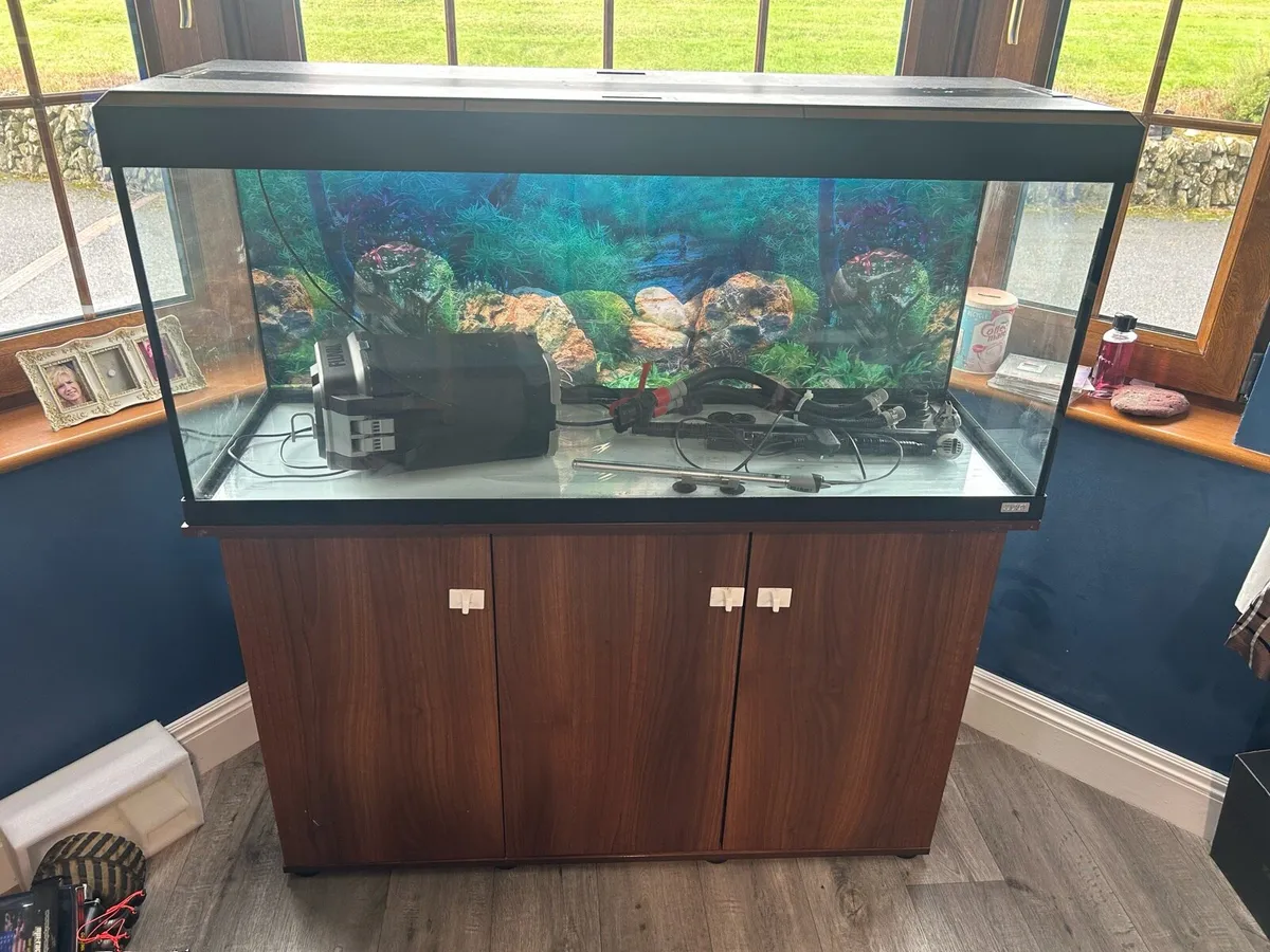 Fish Tank - Image 4