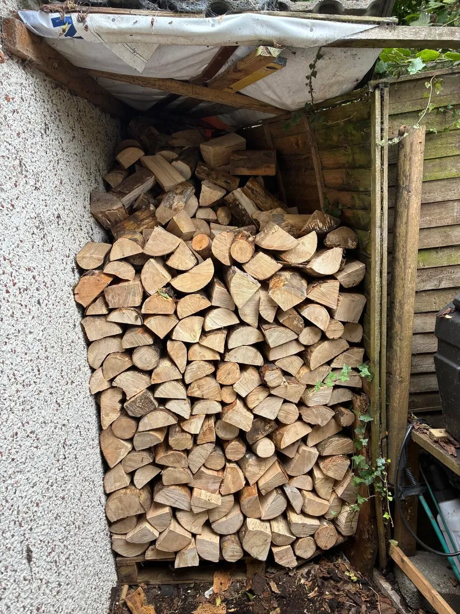 Firewood - Image 3