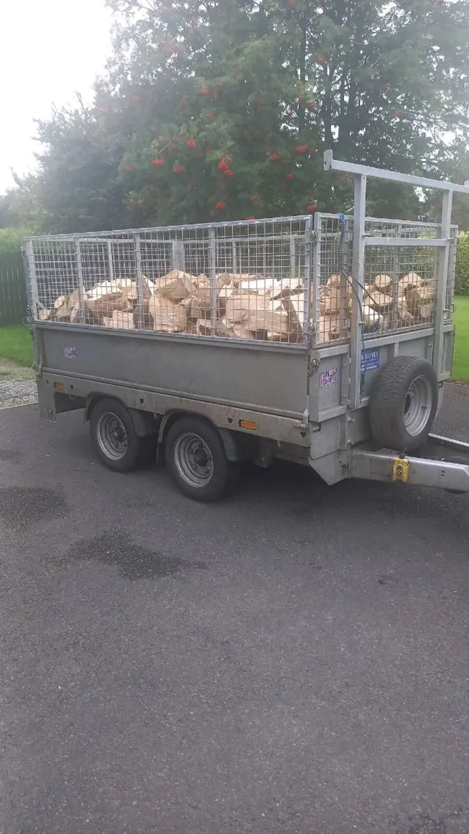 Firewood - Image 1