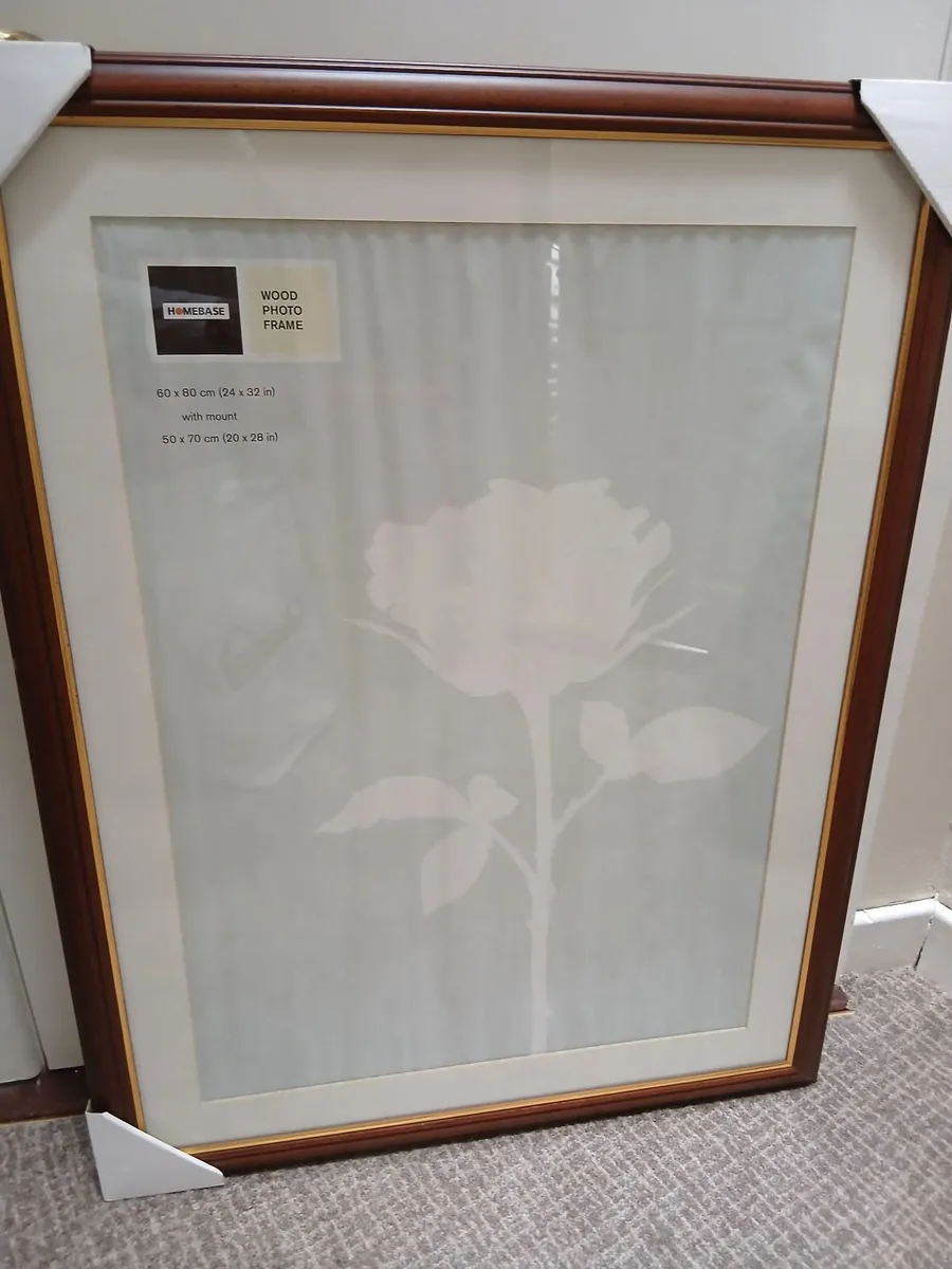 Picture Frame 24" x 32" with mount