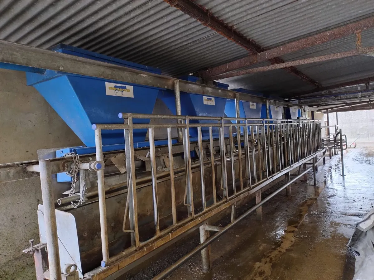 Dairymaster milking machine - Image 3