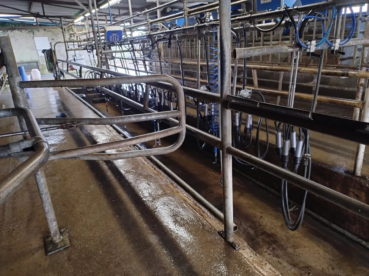 Dairymaster milking machine 12 unit - Image 1