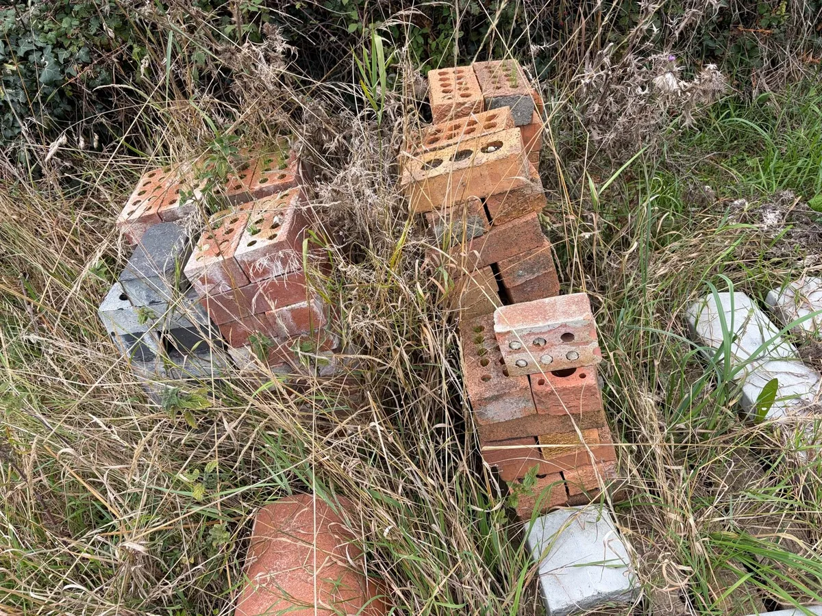 mix of new and used red bricks - Image 3