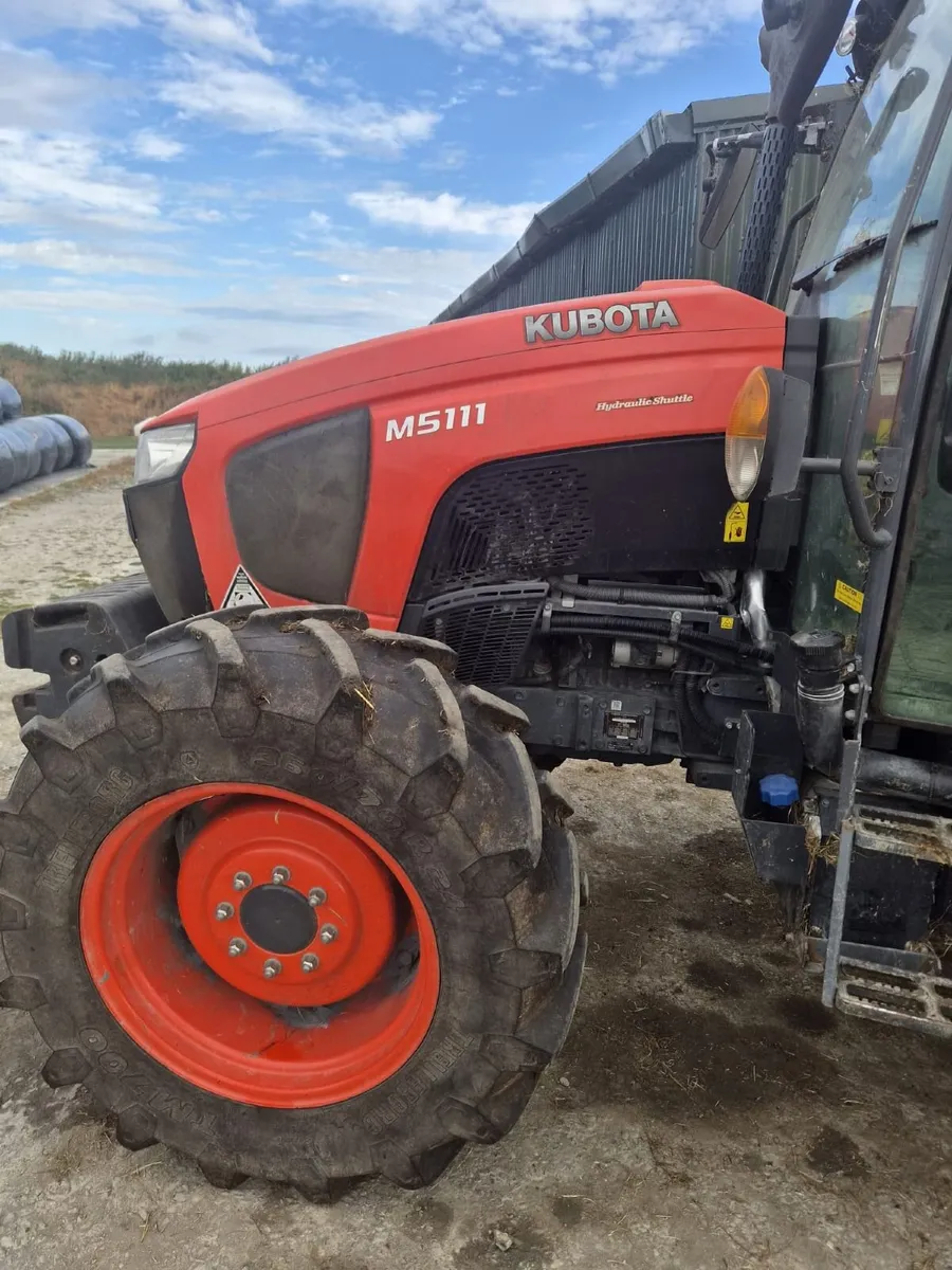 Machinery/Fodder- Holsteins Dispersal tomorrow! - Image 3