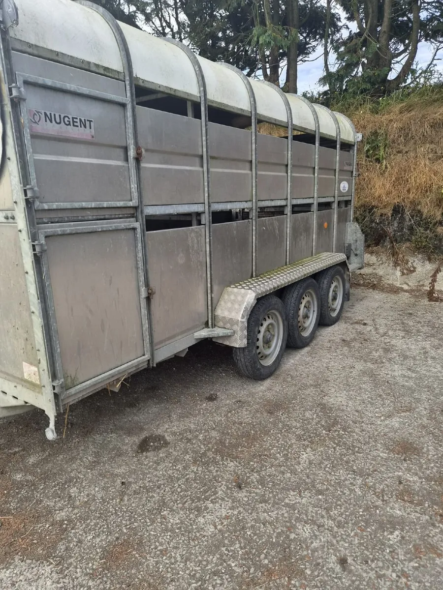 Machinery/Fodder- Holsteins Dispersal tomorrow! - Image 4