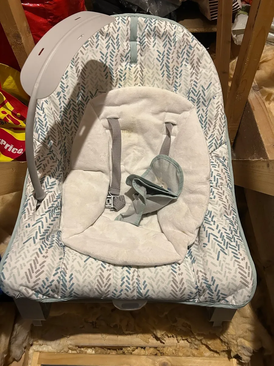 Baby bouncer