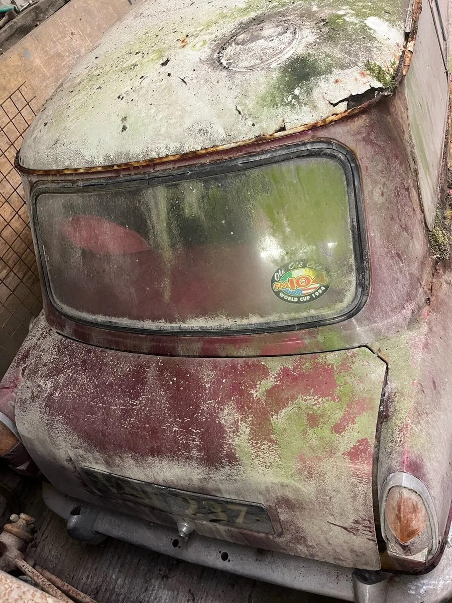 Wolseley hornet - Image 2