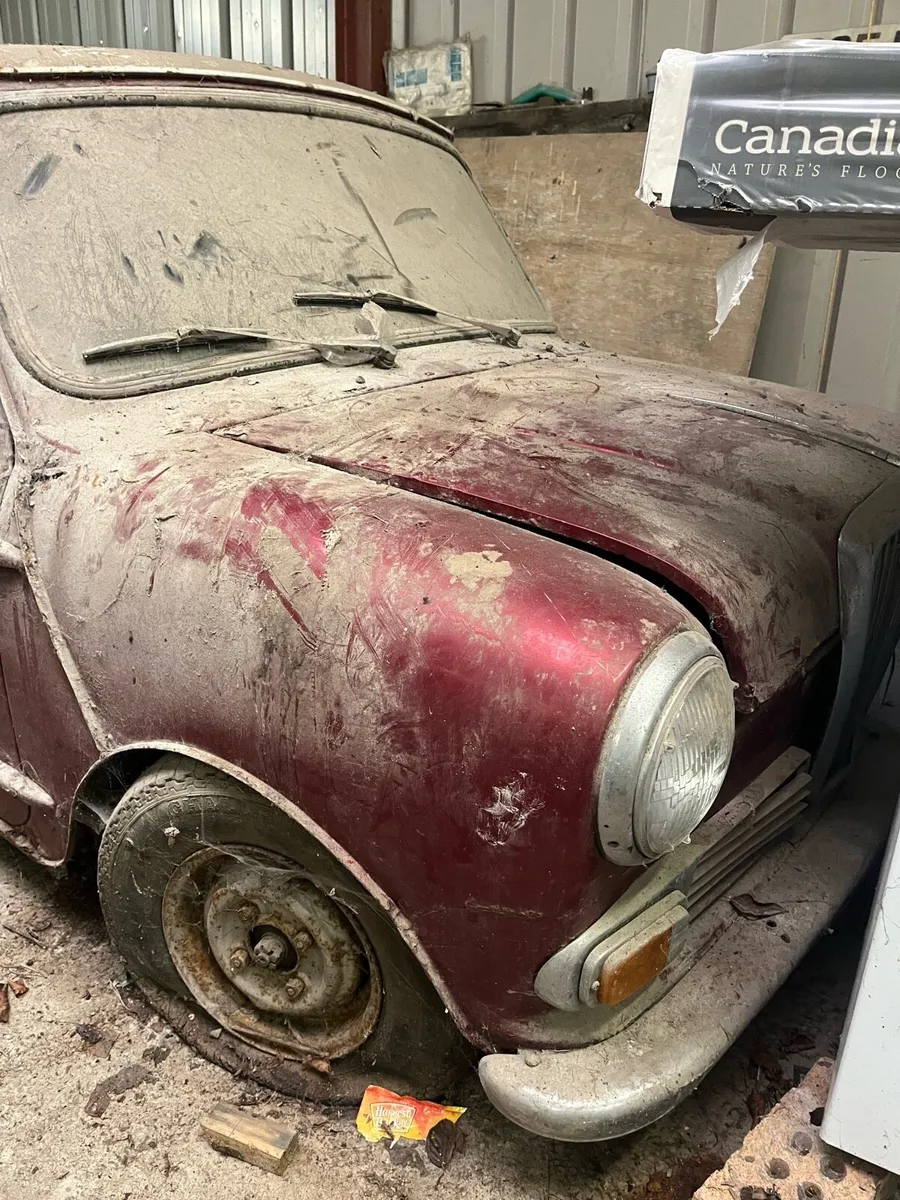 Wolseley hornet - Image 3