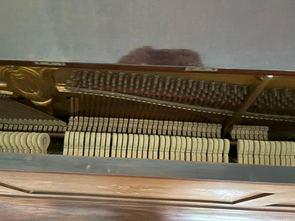 Vogeler and co piano - FREE - Image 4