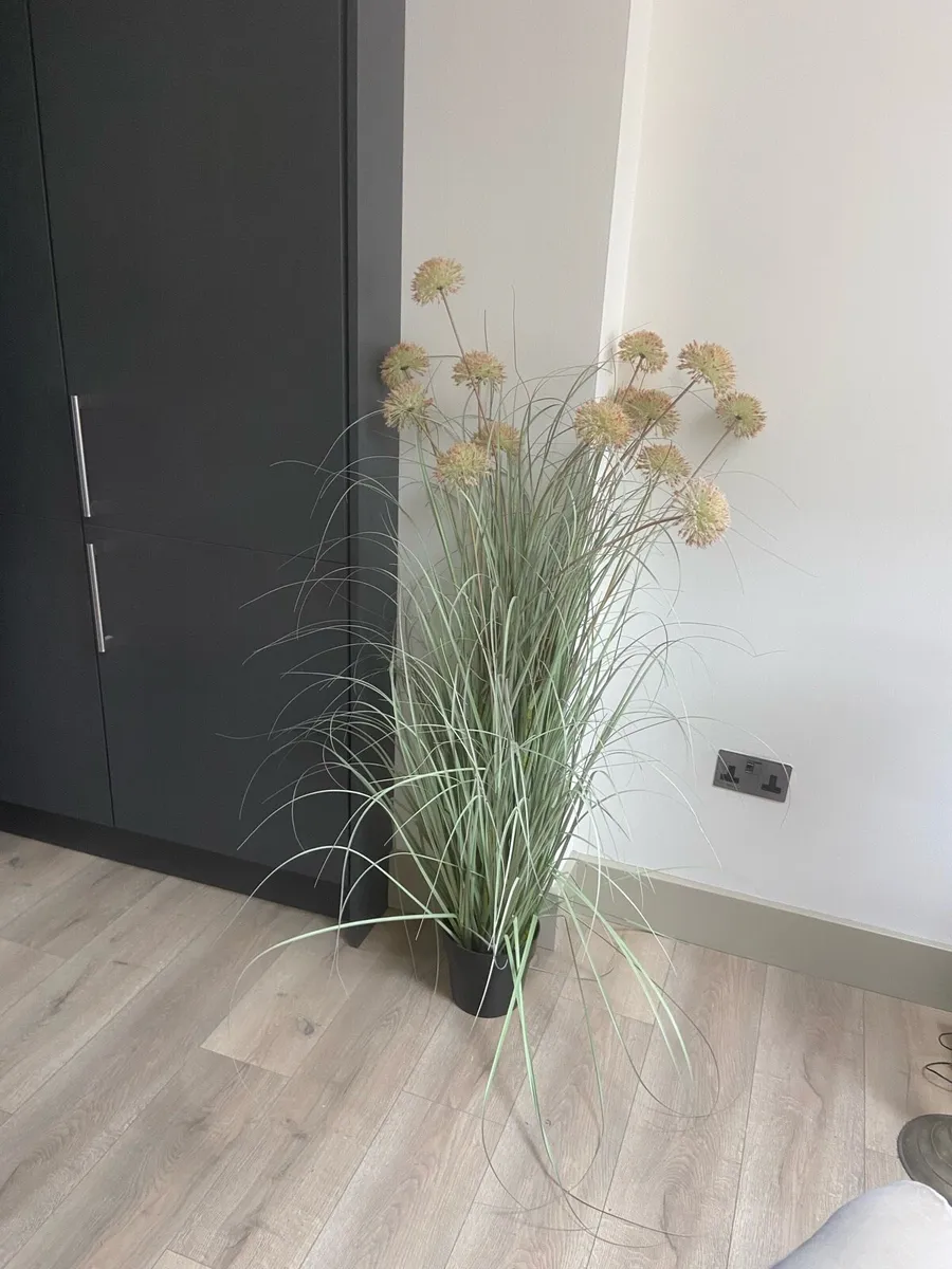Rushes plant fake indoors - Image 1