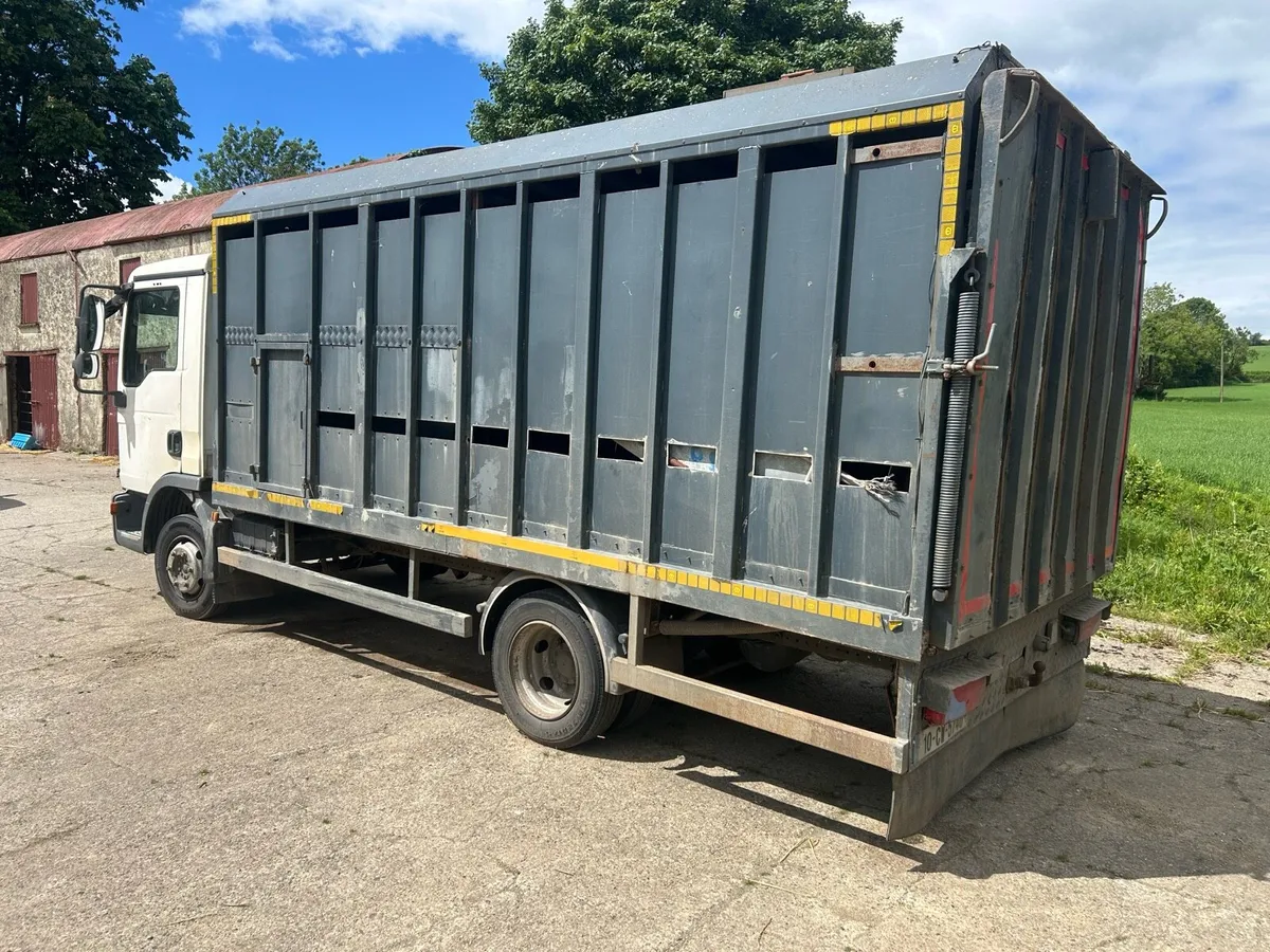 Man livestock truck - Image 3