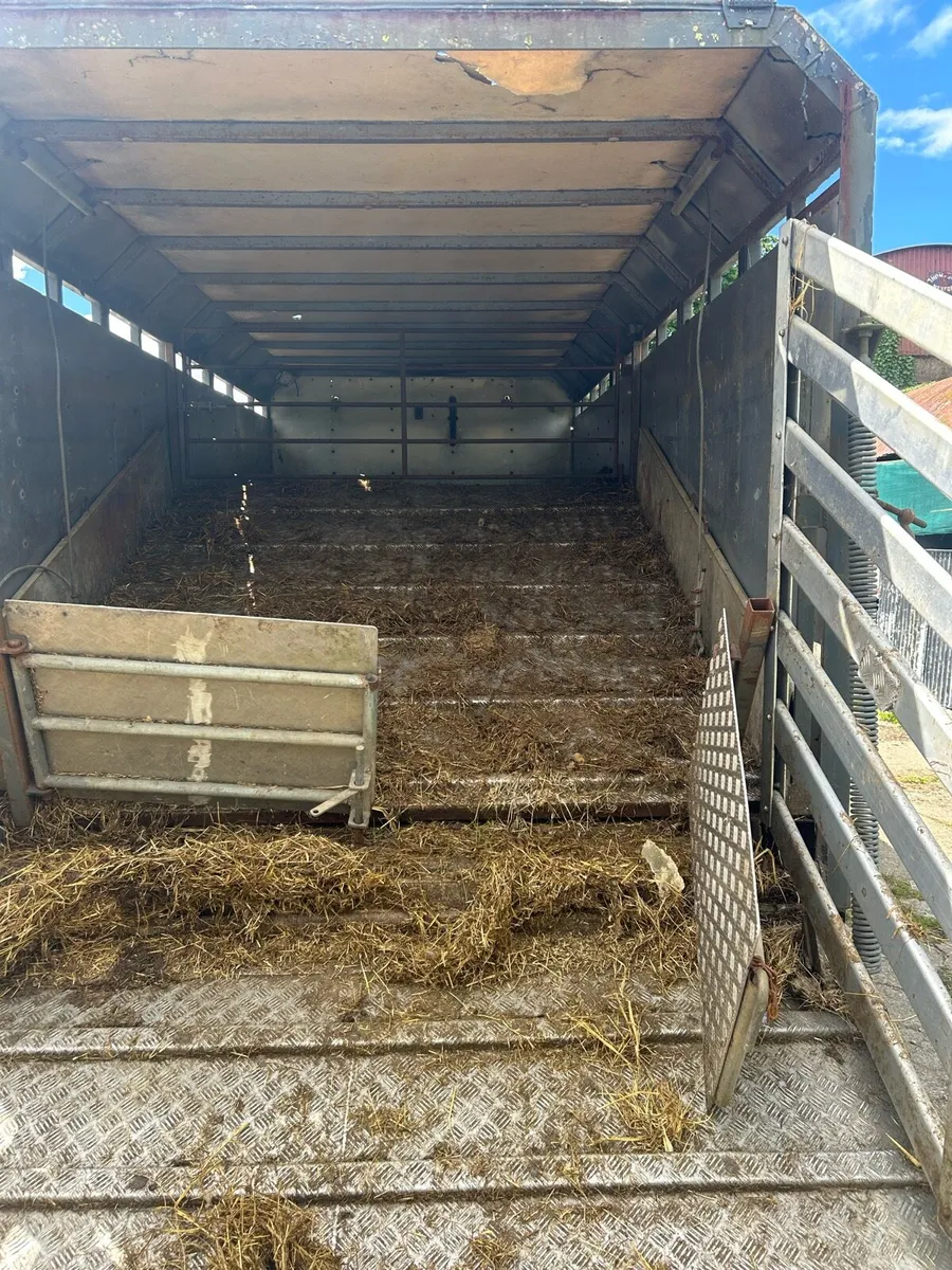 Man livestock truck - Image 4