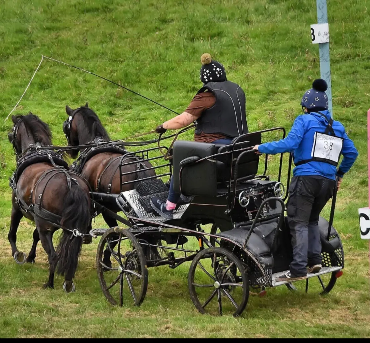 Pony pairs carriage - Image 3