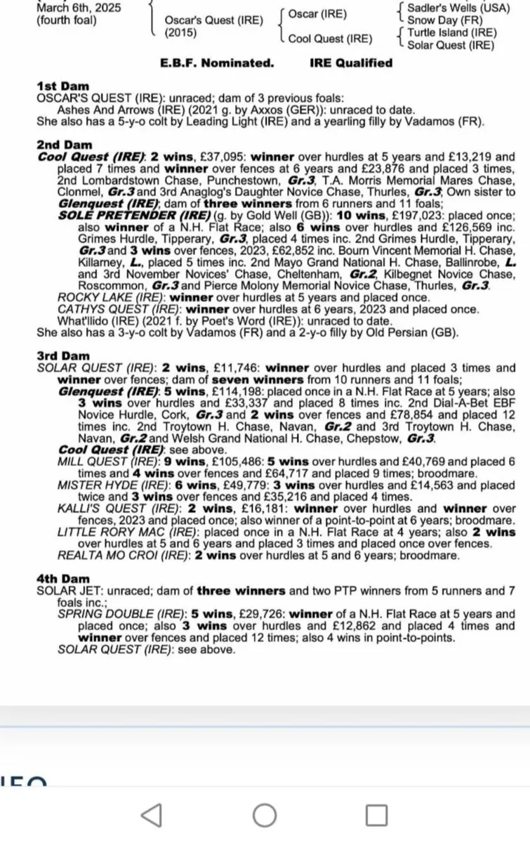 Affinisea Thoroughbred Filly Foals - Image 4