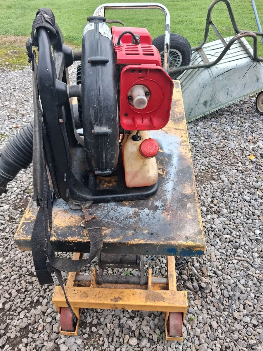 Backpack leaf blower starting And running perfect - Image 2