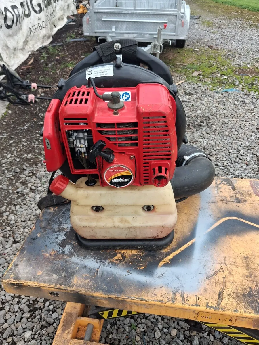 Backpack leaf blower starting And running perfect - Image 1