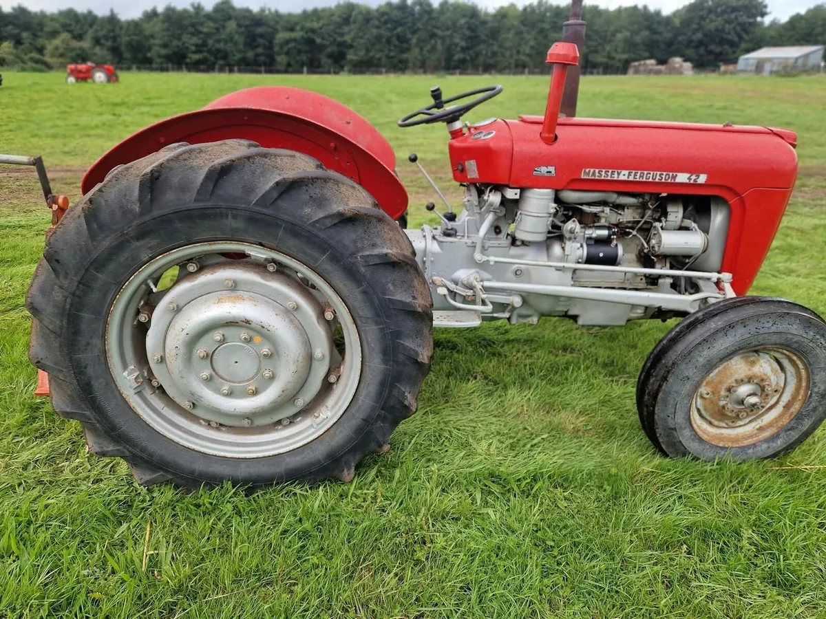 Massey Ferguson 42 Rare - Image 2