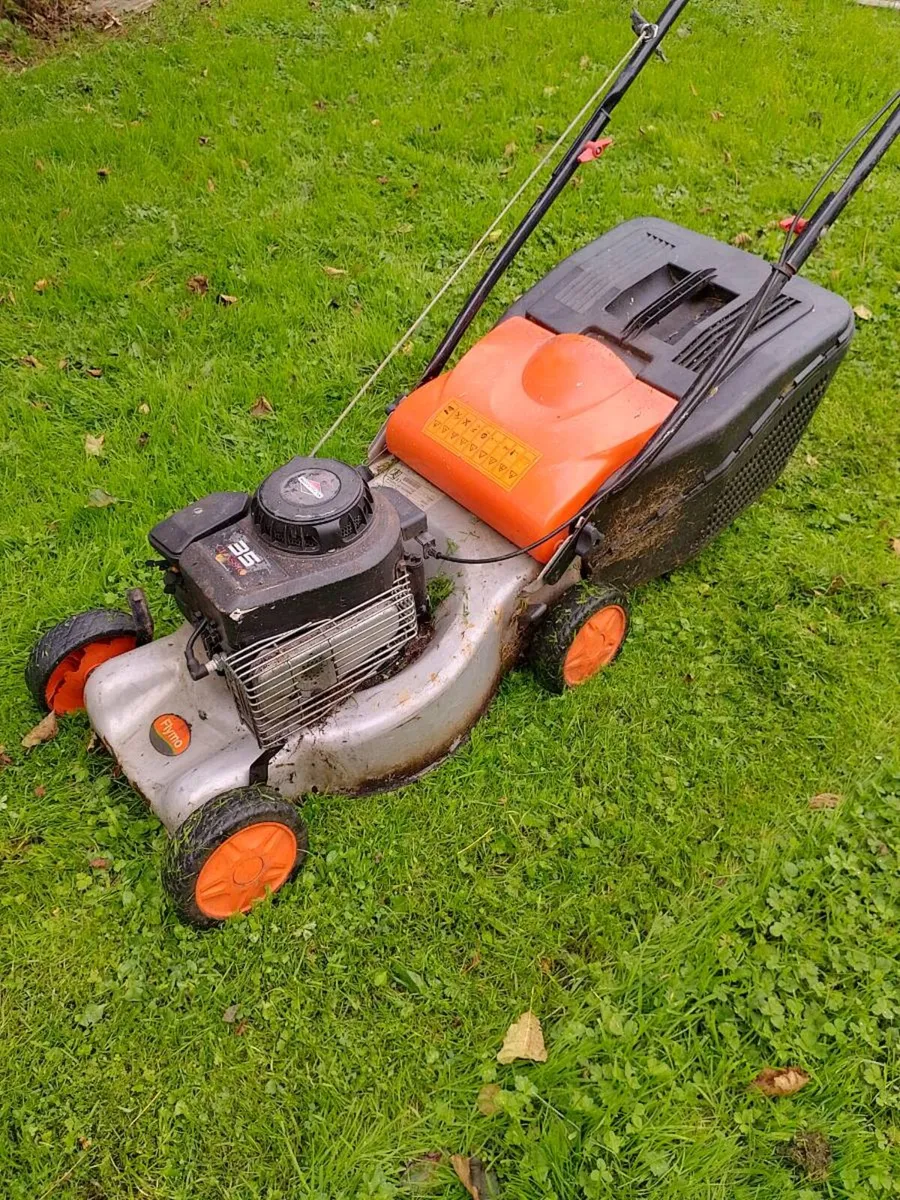 Flymo Briggs petrol lawnmower - Image 1