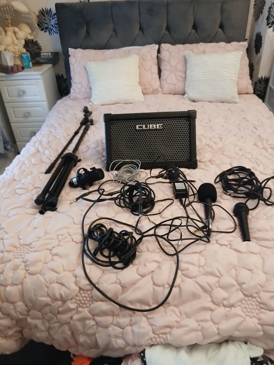 Amp and mic s  and mic stand and leeds - Image 4