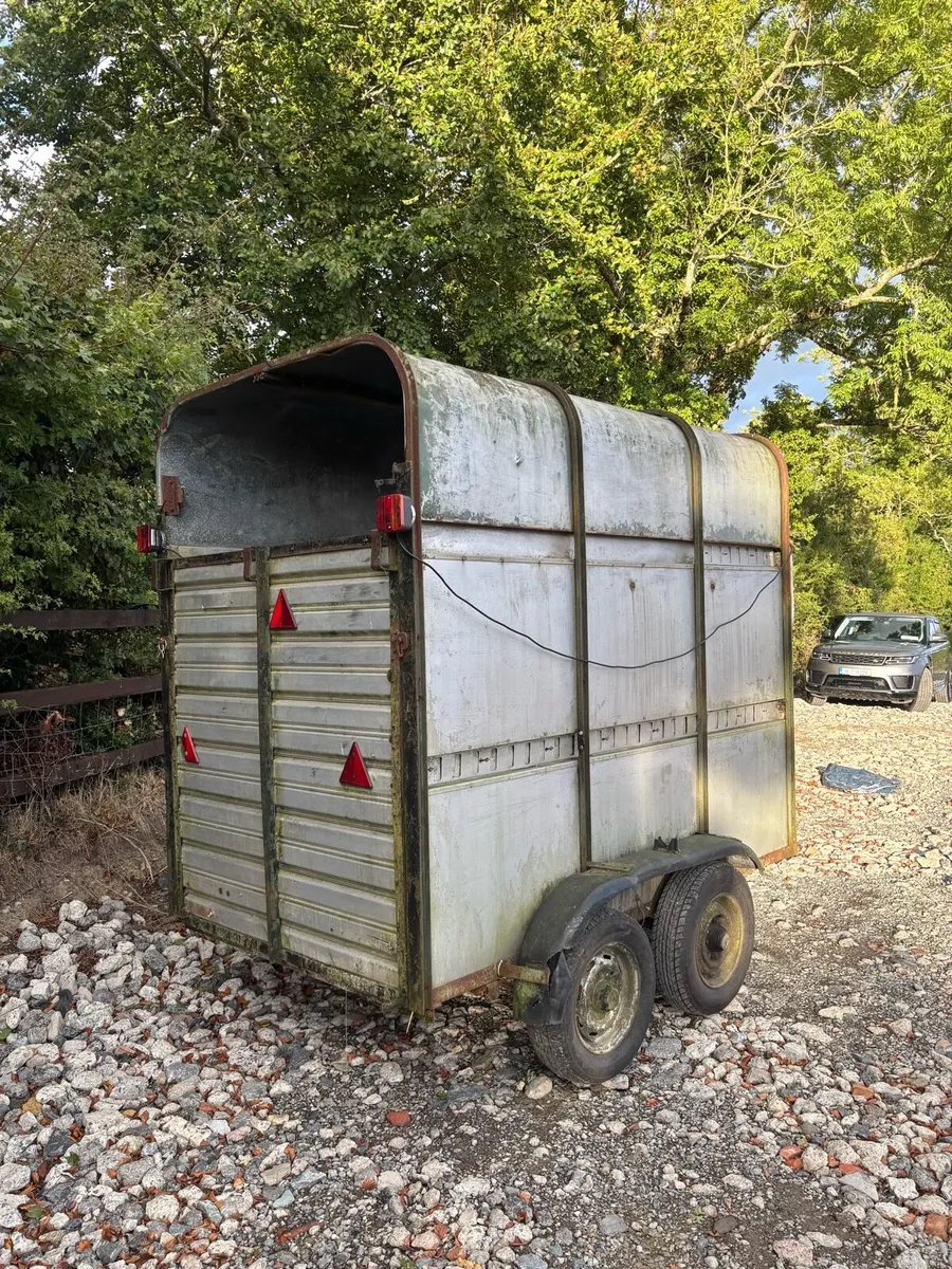Westwood 8x5ft Cattle box 7ft high - Image 2