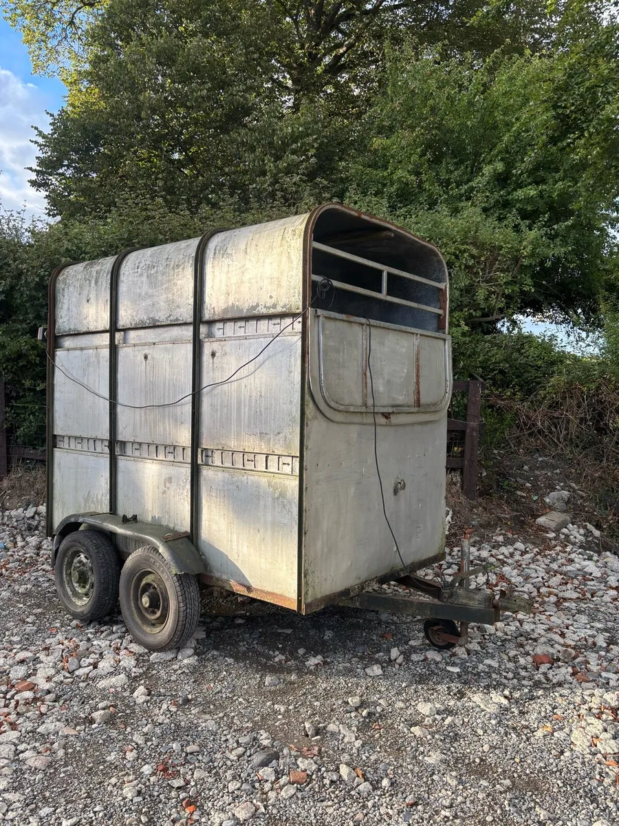 Westwood 8x5ft Cattle box 7ft high - Image 1