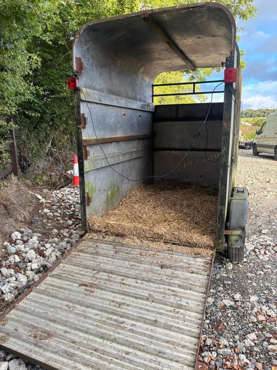 Westwood 8x5ft Cattle box 7ft high - Image 4