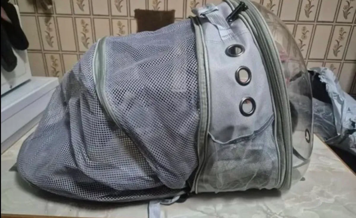Pet back - Image 4