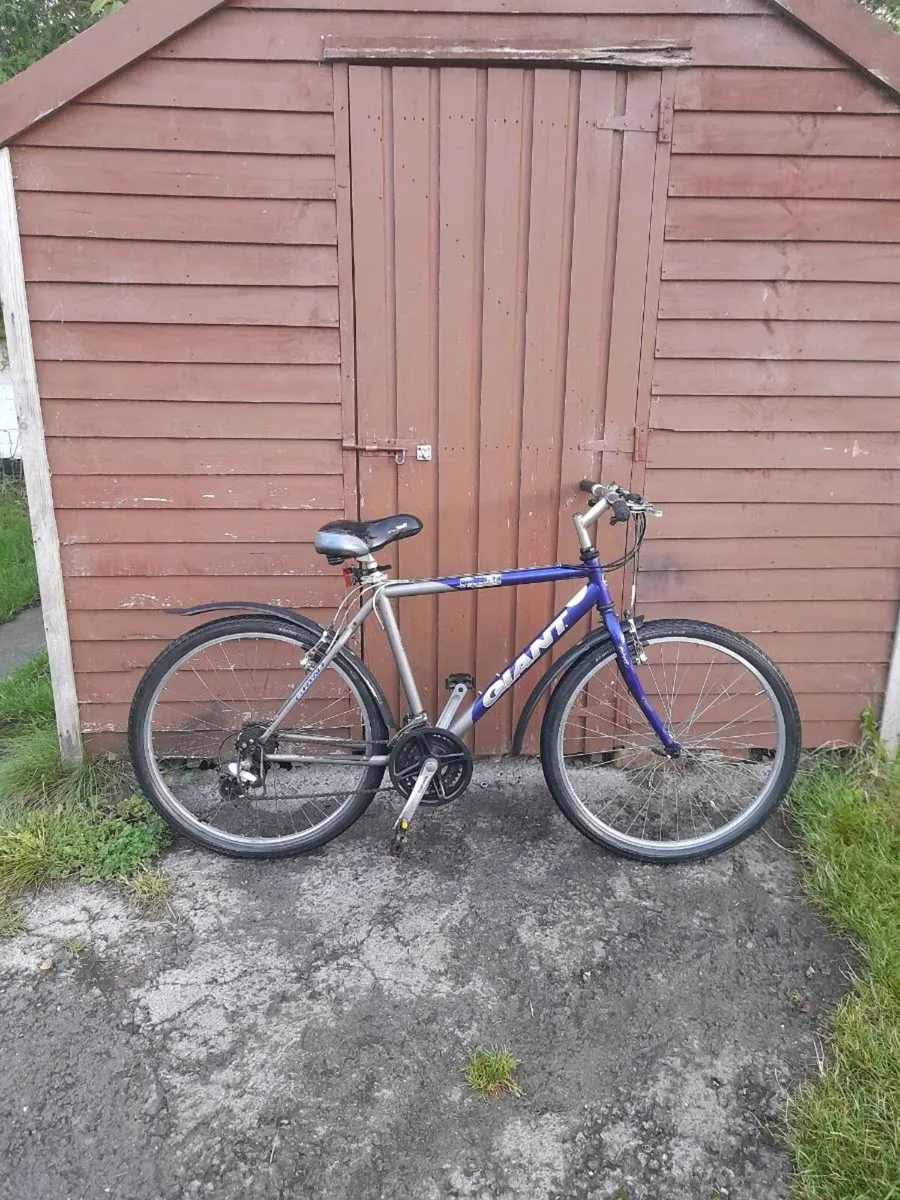 Adults giant mountain bike for sale - Image 1