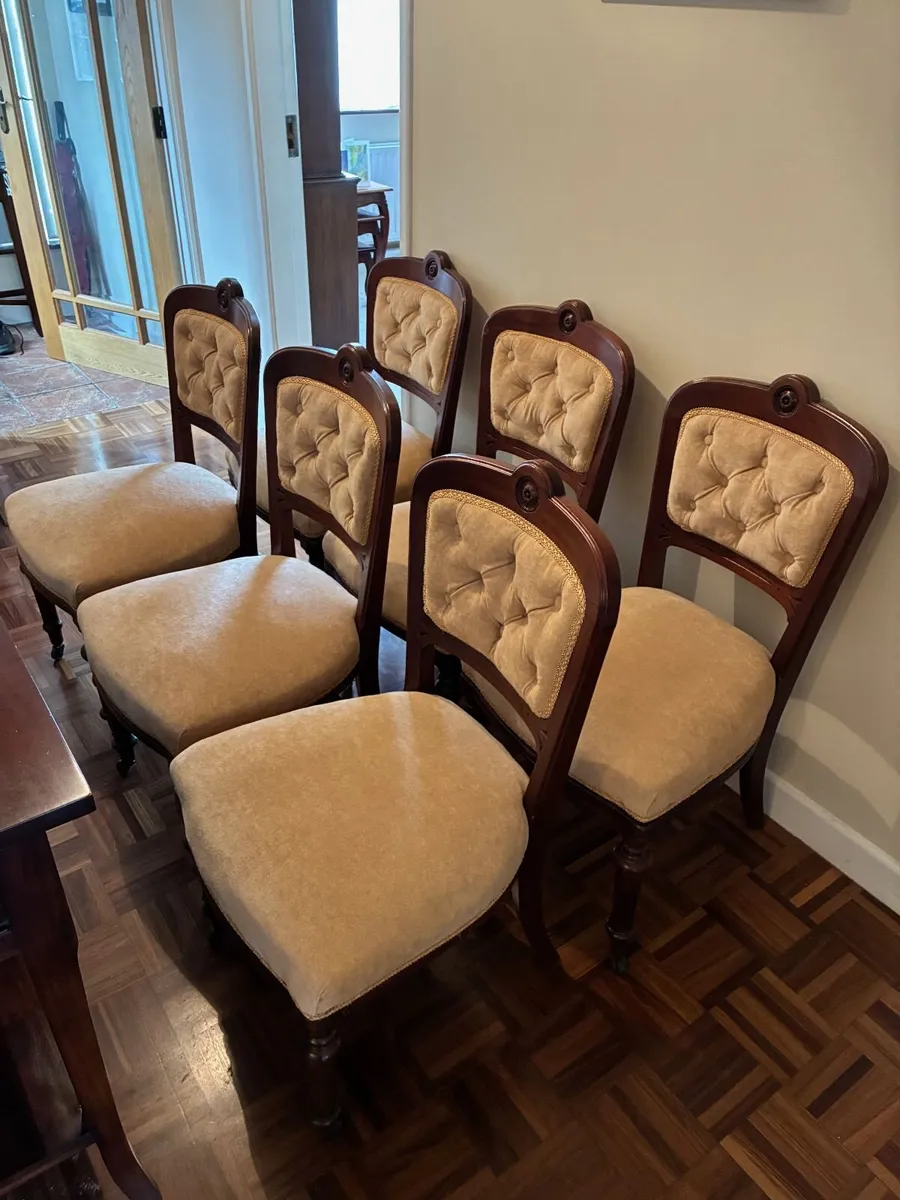 Mahogany dining chairs - Image 1