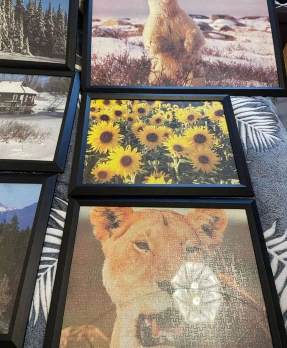 Picture frames - Image 2