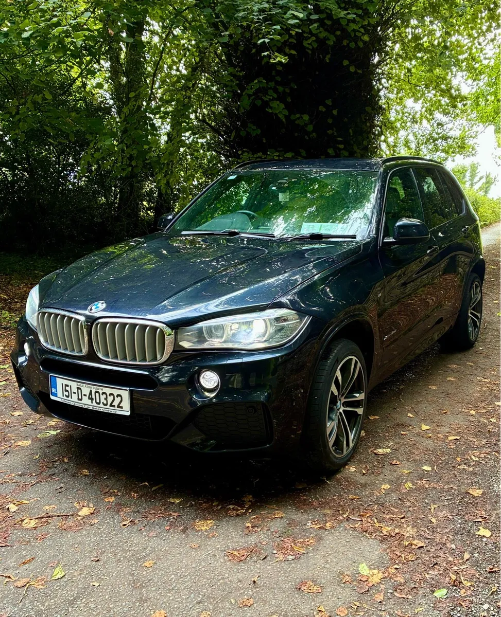 BMW X5 crew cab - Image 1