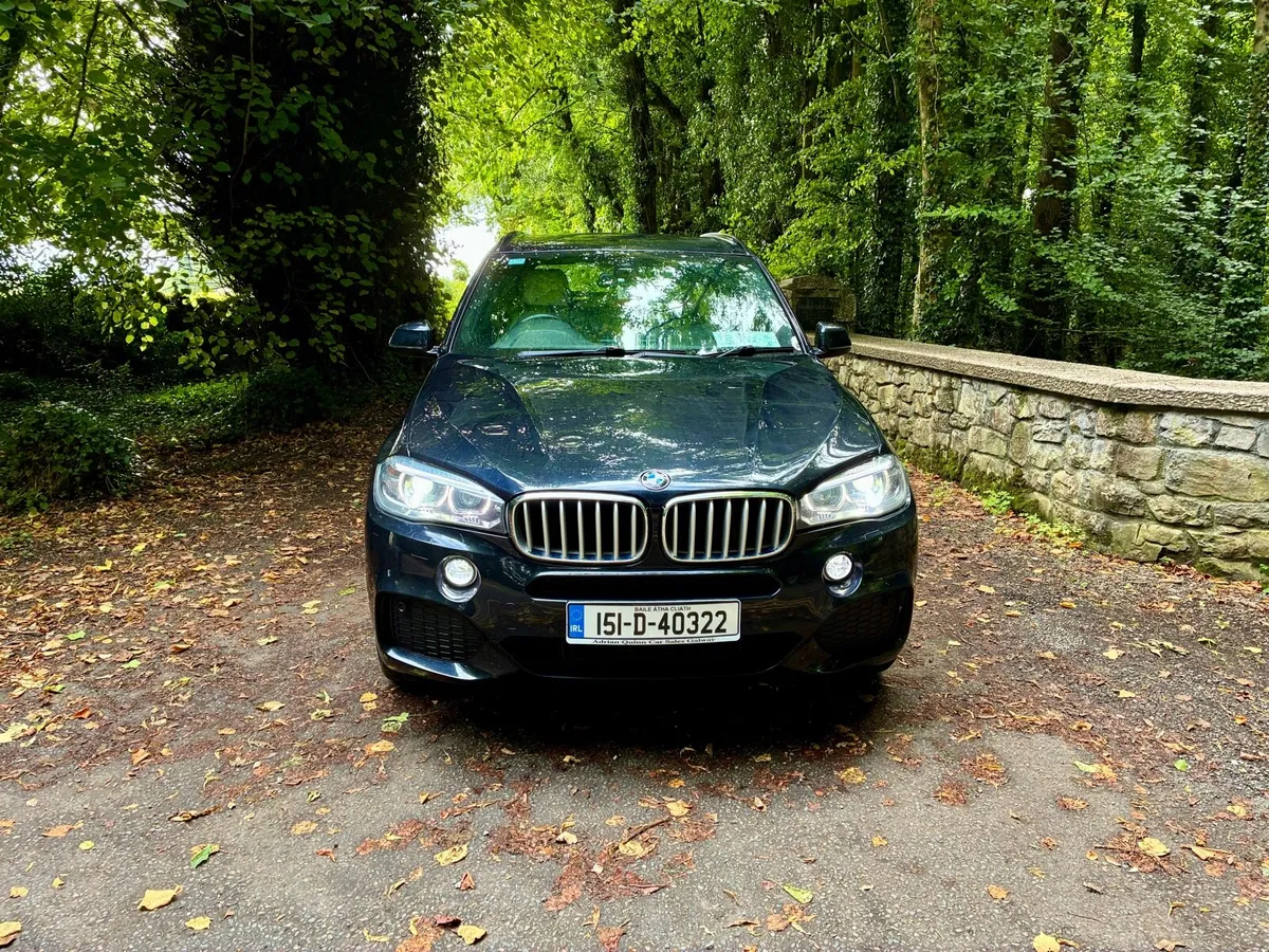 BMW X5 crew cab - Image 2