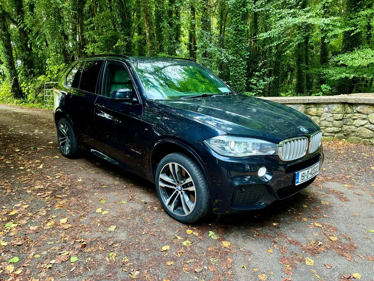 BMW X5 crew cab - Image 3