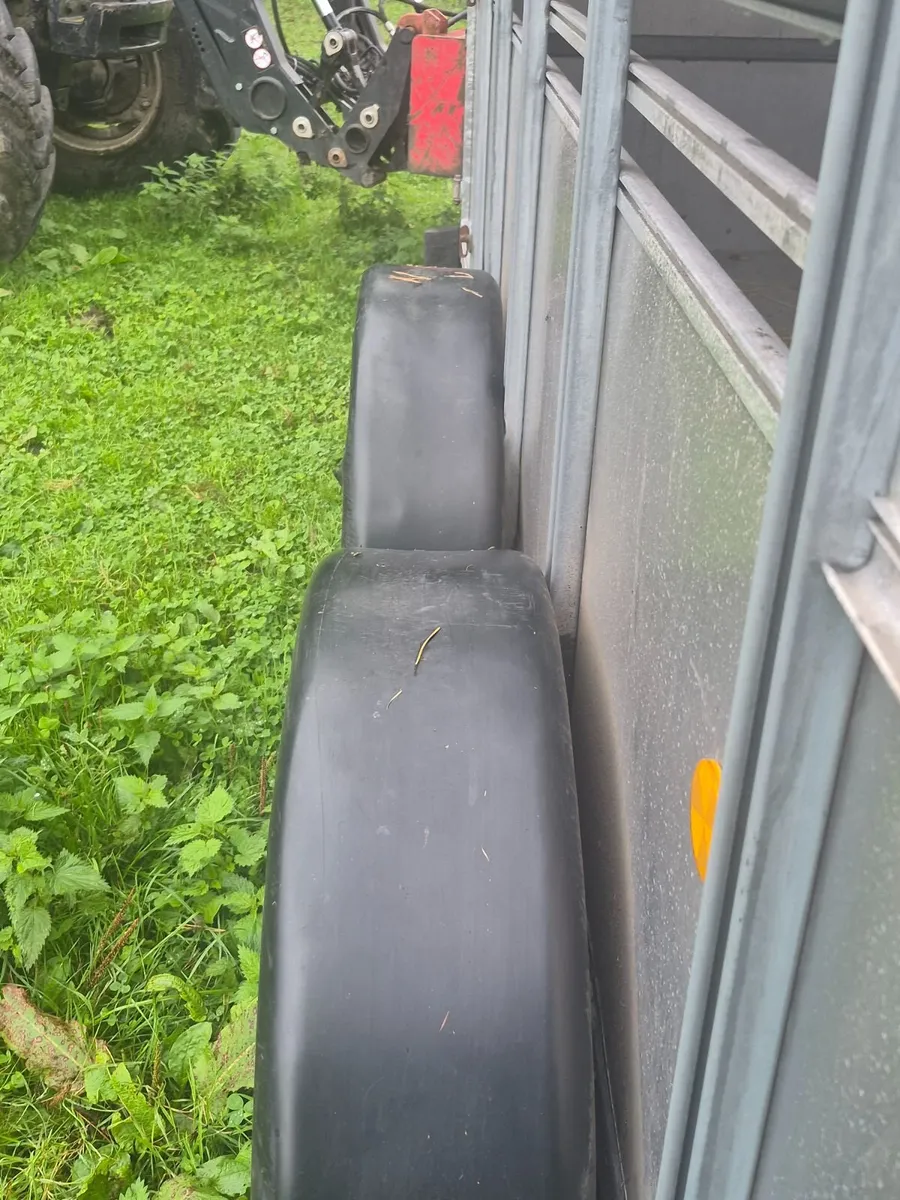 Trailer  livestock - Image 2