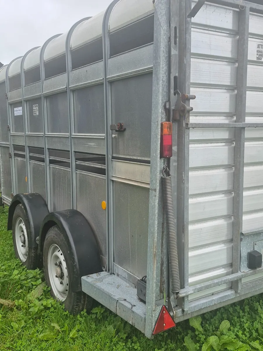 Trailer  livestock - Image 3