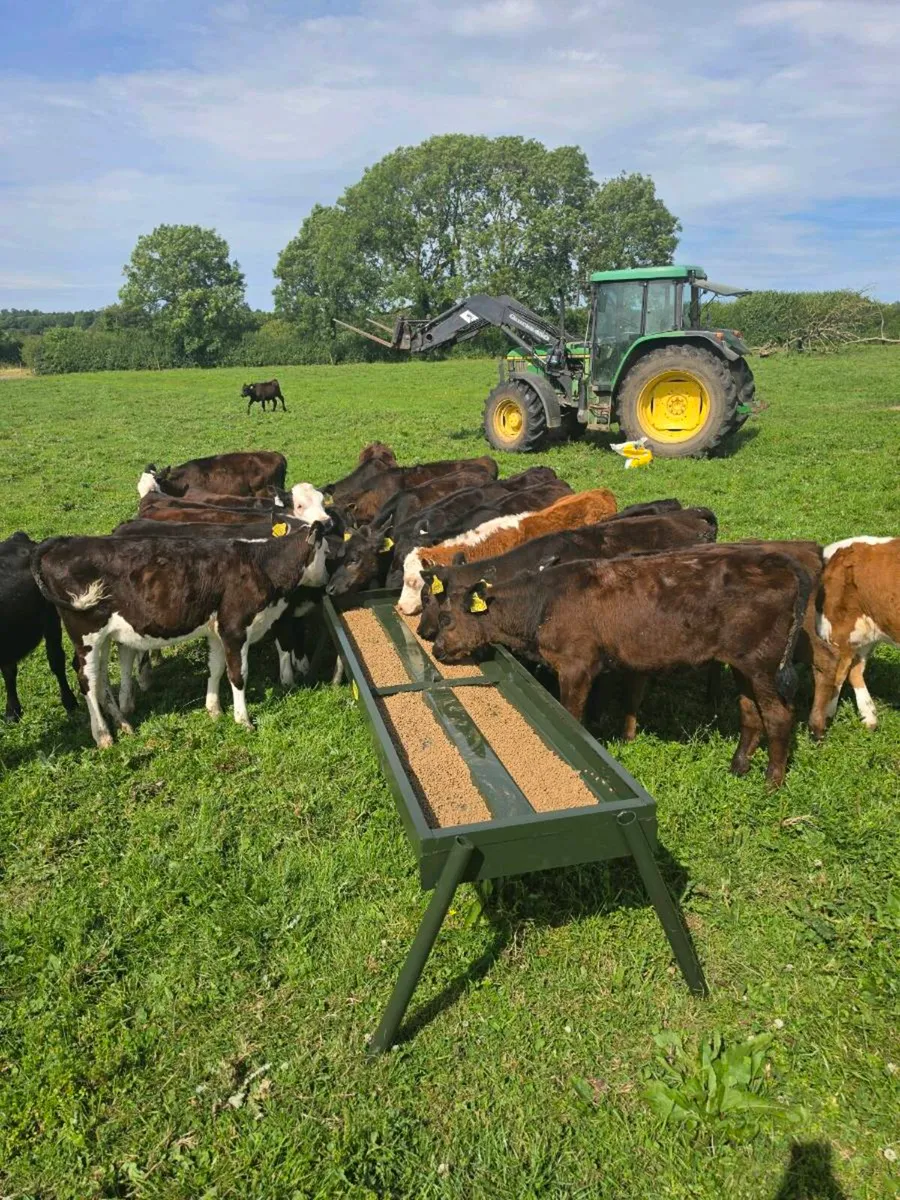 Heavy duty cattle double feeding trough - Image 2