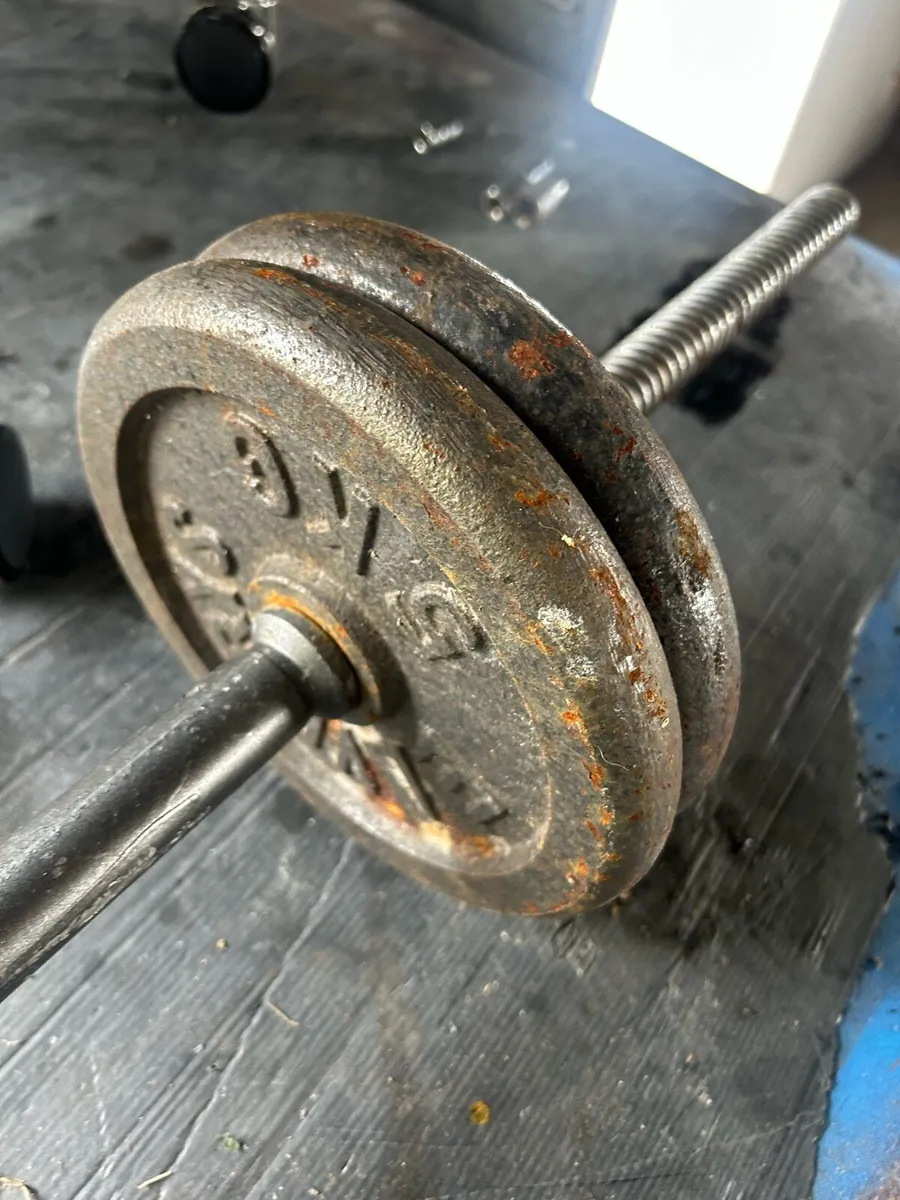Gym weights - Image 1