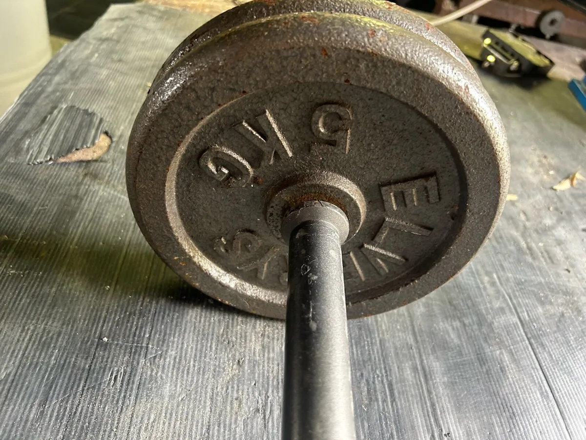 Gym weights - Image 4