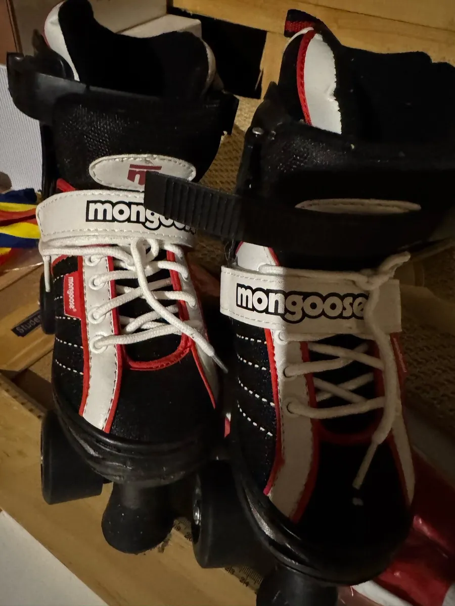 New roller skates - Image 1