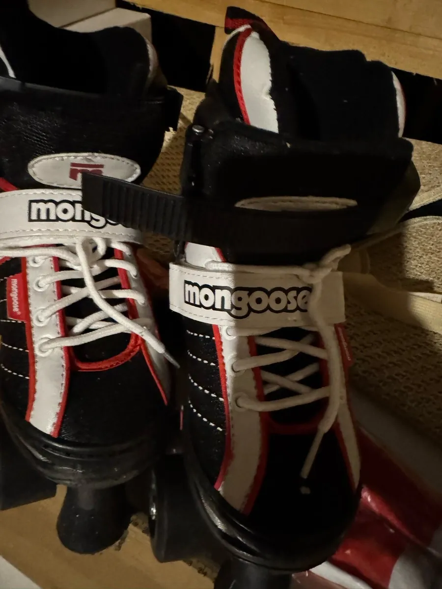 New roller skates - Image 4