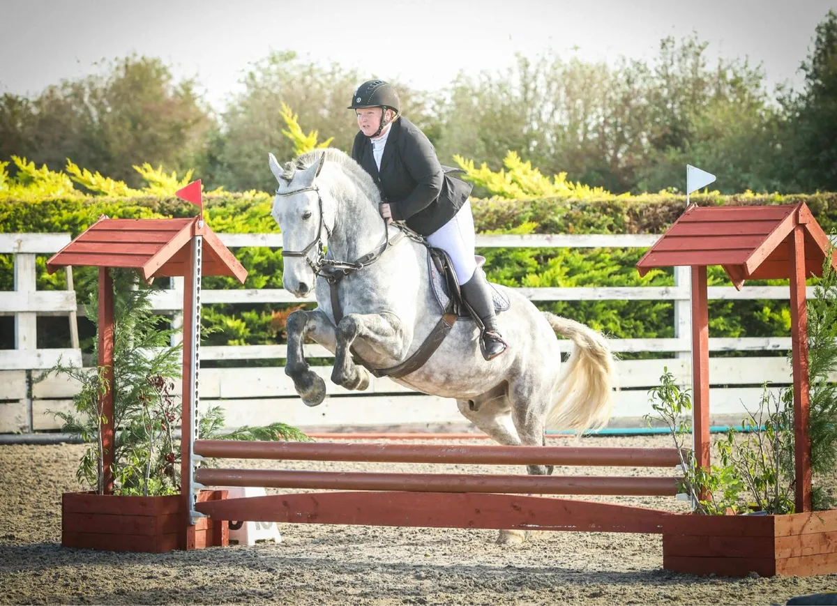 7yo 155cm  fun cob all rounder - Image 2