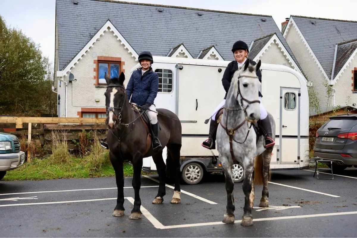 7yo 155cm  fun cob all rounder - Image 3