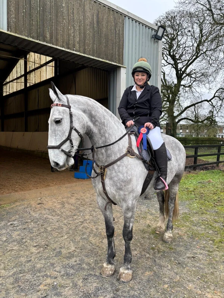 7yo 155cm  fun cob all rounder - Image 4