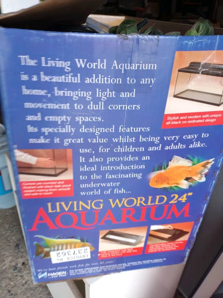 Fish Tank - Image 2